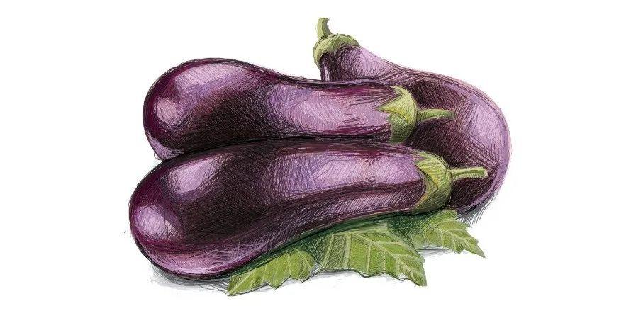 Eggplant of the Season Vegetable: Known as the God of Cardiovascular and Cerebrovascular Protection, You Can Eat It Like This...